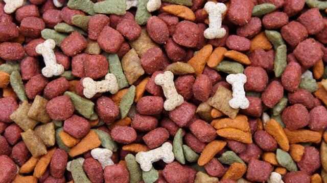 Pet food processing_640x360.jpg