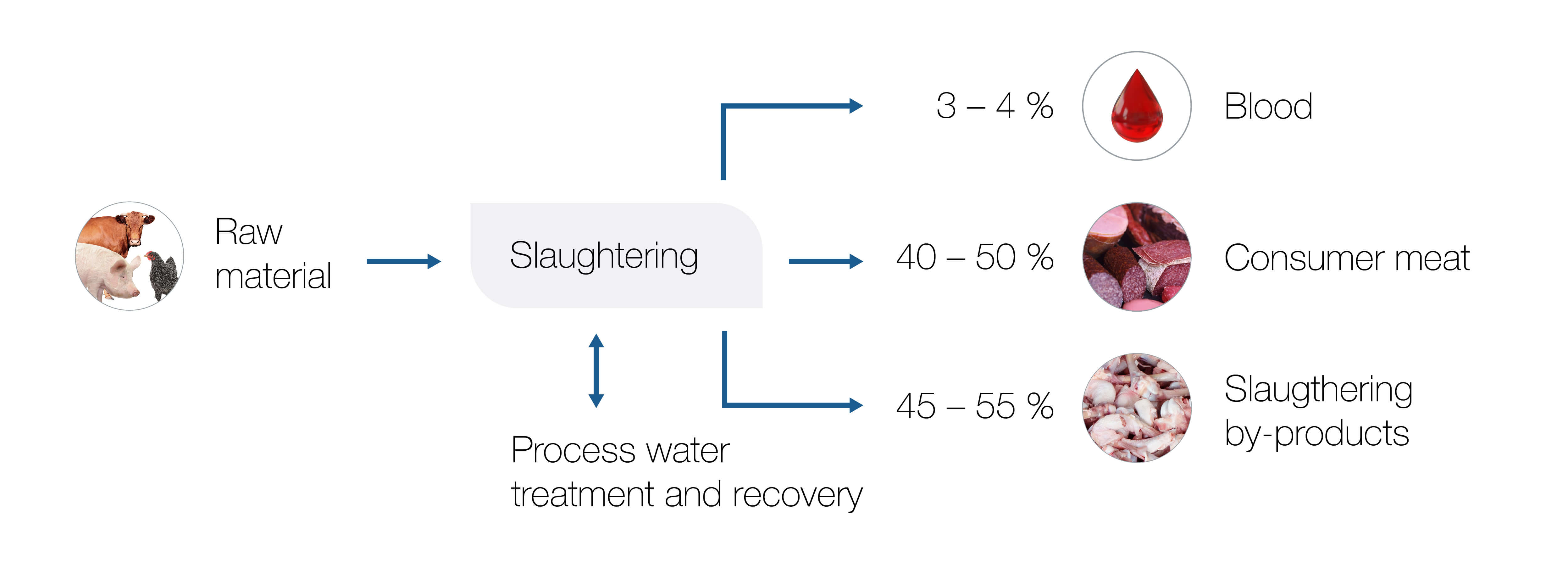 AL Process & Flowchart meat & pouletry Meat and Poultry Processing 241107