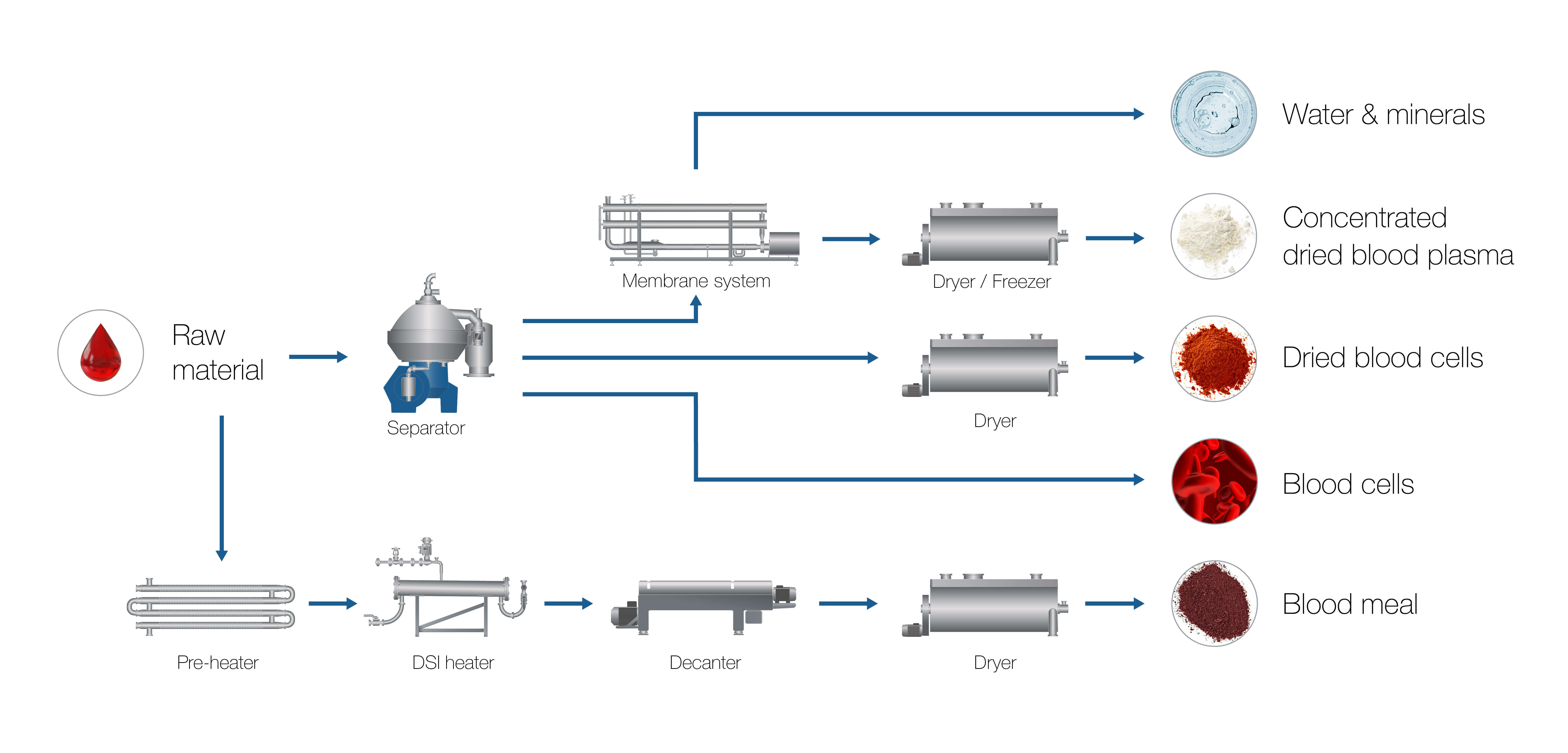 AL Process & Flowchart meat & pouletry Blood processing 241031