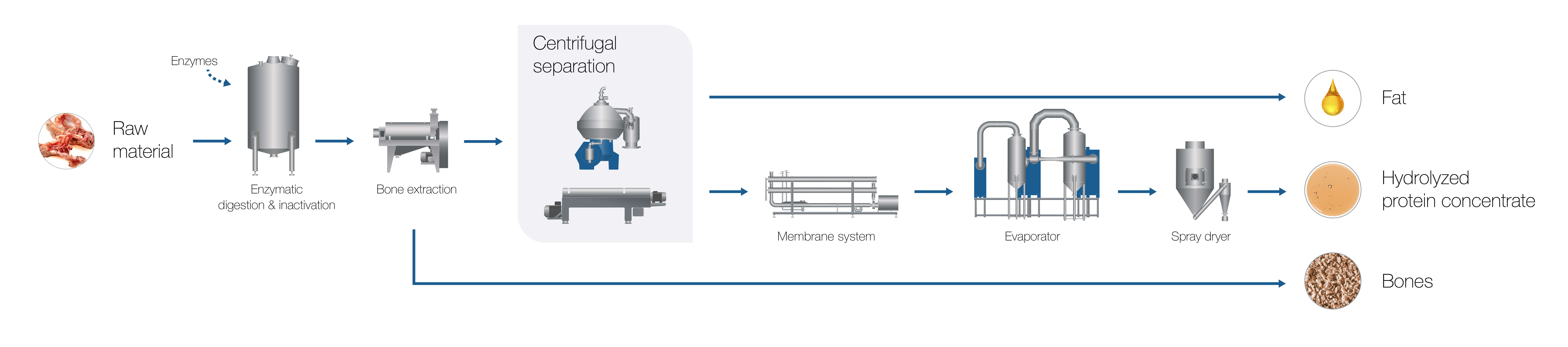 AL Process & Flowchart meat & pouletry Enzyme hydrolysis 241108