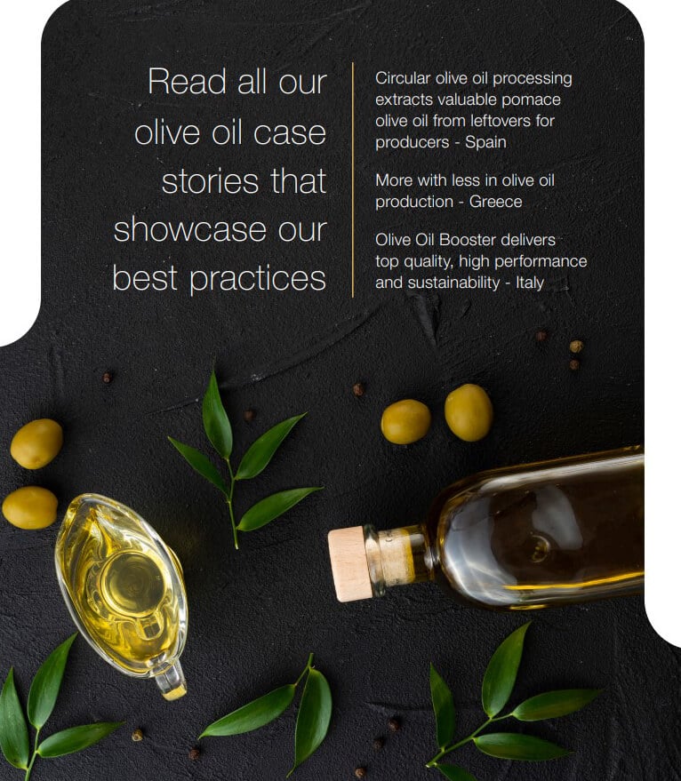 olive oil infographics