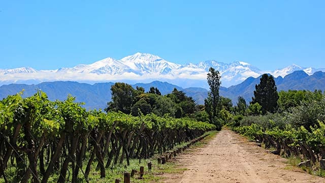 winery-in-argentina-finds-sustainable-solution-to-operational-challenges-with-remote-support-and-monitoring