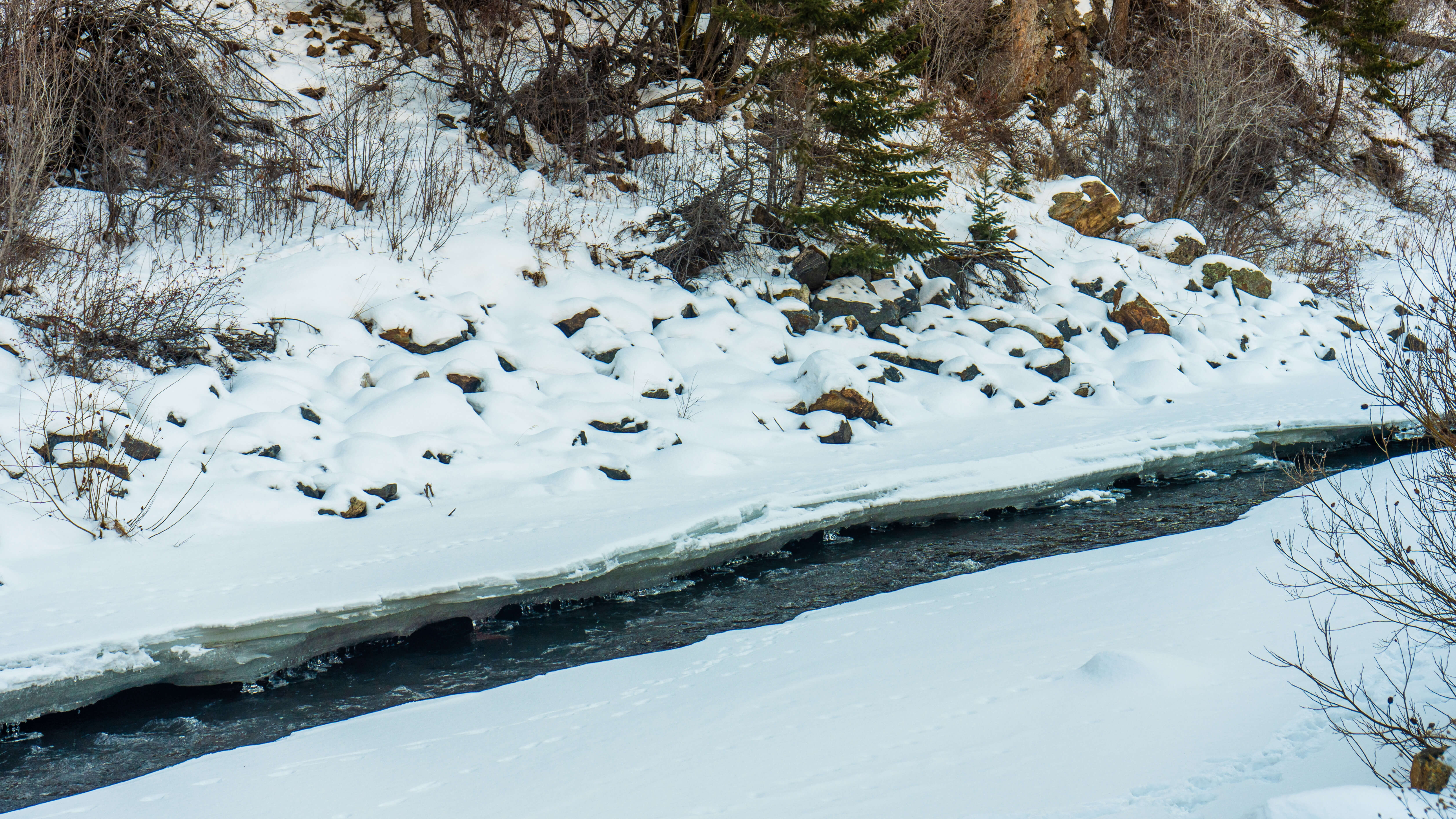 clear creek1