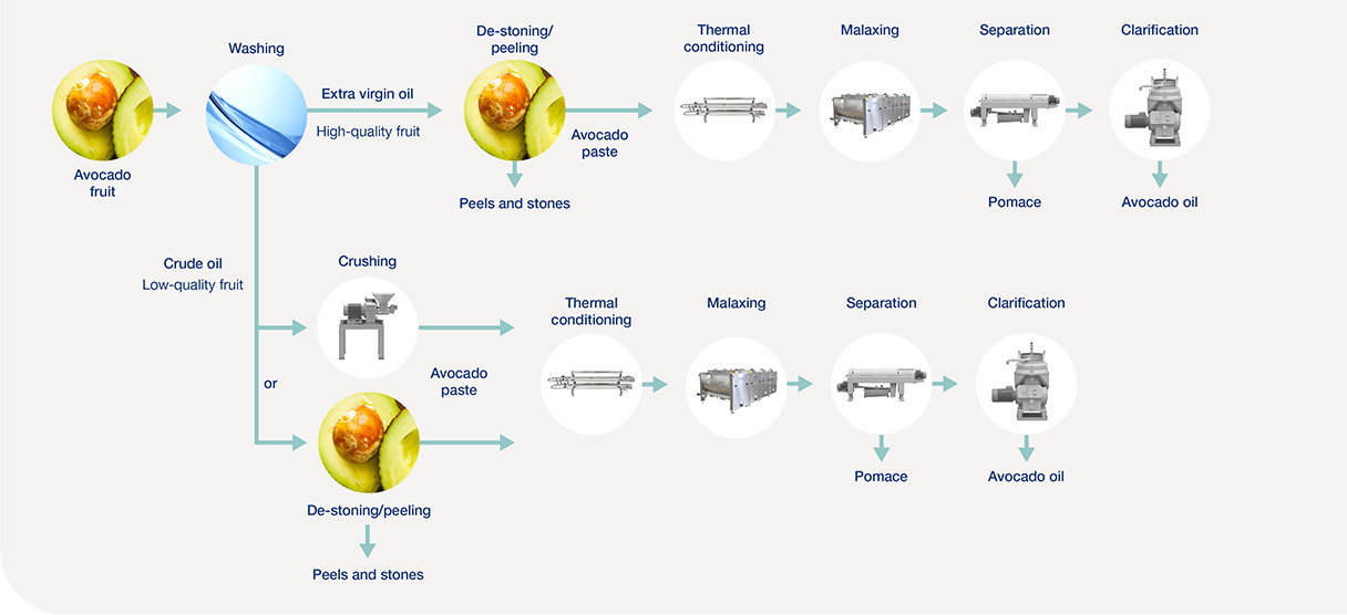 Avocado Oil Processing And Production Alfa Laval