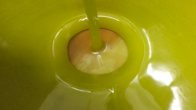 Olive oil separation