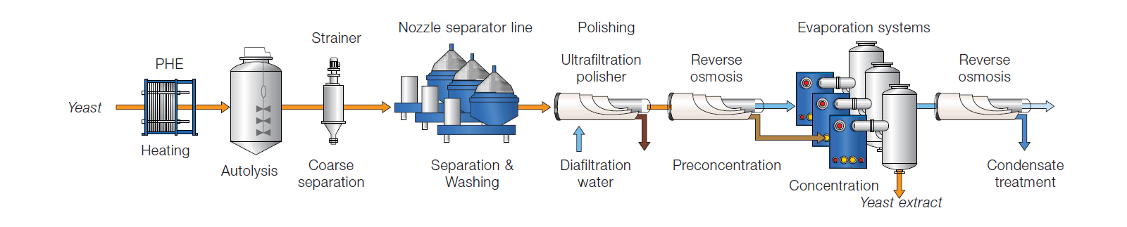 yeast extraction process chart.png