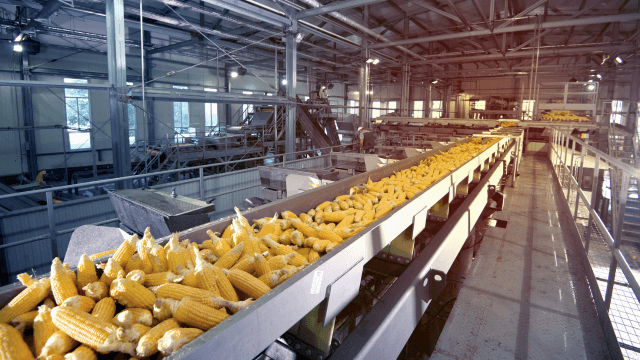 Harvesting energy efficiency in the Canadian agriculture processing industry