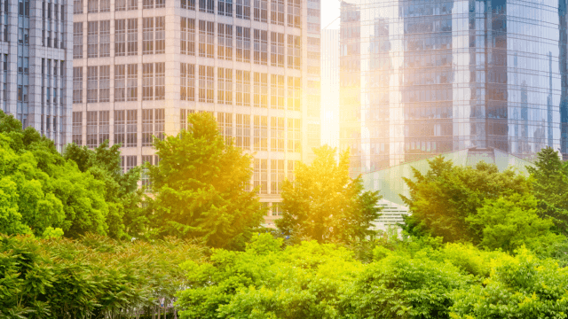 New green buildings strategy to decarbonize and decrease costs